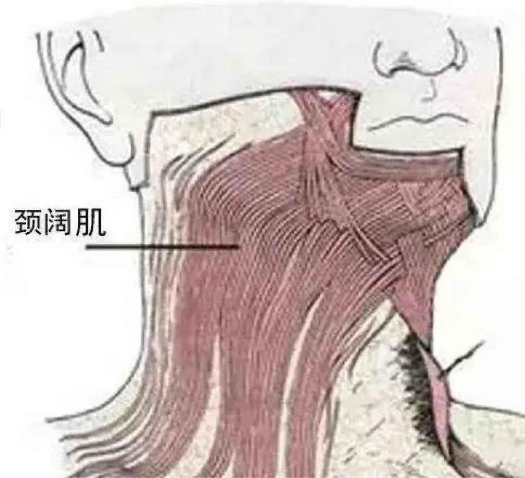 【拒绝颈后大包】两个动作解决富贵包、颈前探，详解跟练！ - 哔哩哔哩